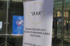 IMG 7056